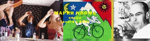 тгк Алзамай