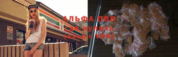 тгк Алзамай