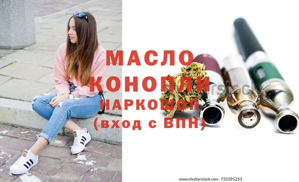 тгк Каменногорск