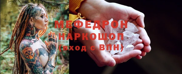 гидра Каменка